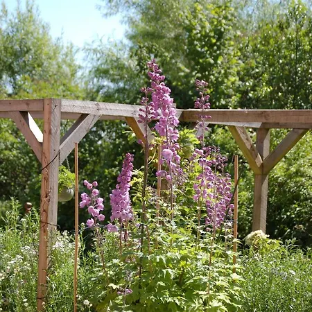 Engbjerg * Hirtshals